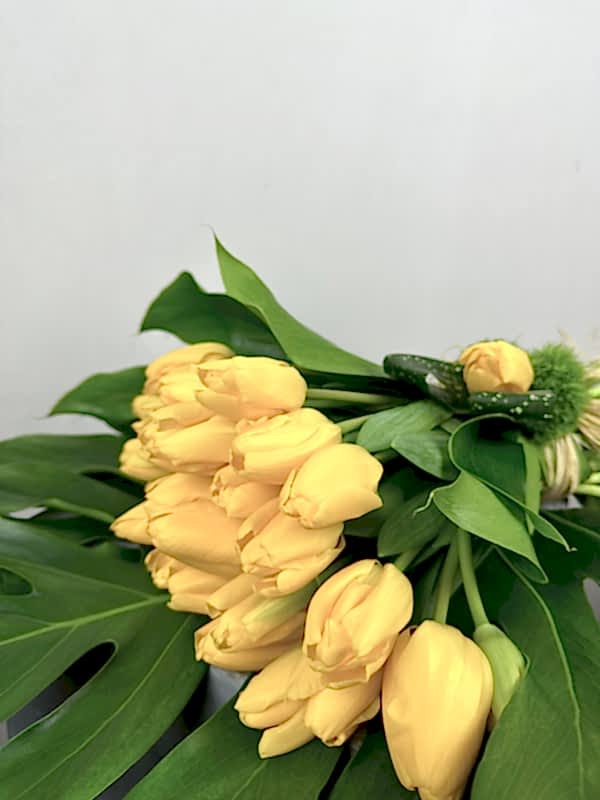Sarı Laleler ve Monstera Buketi