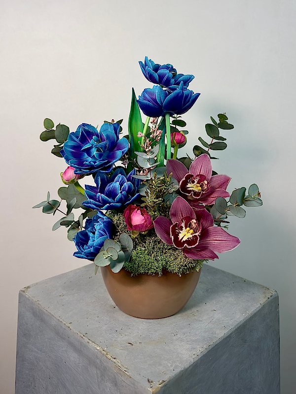 Nami Rose Vazoda Kozmik Laleler