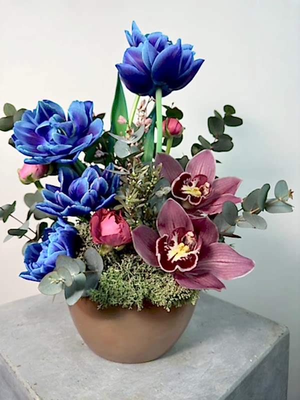 Nami Rose Vazoda Kozmik Laleler