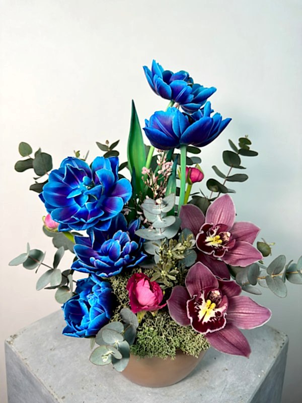 Nami Rose Vazoda Kozmik Laleler