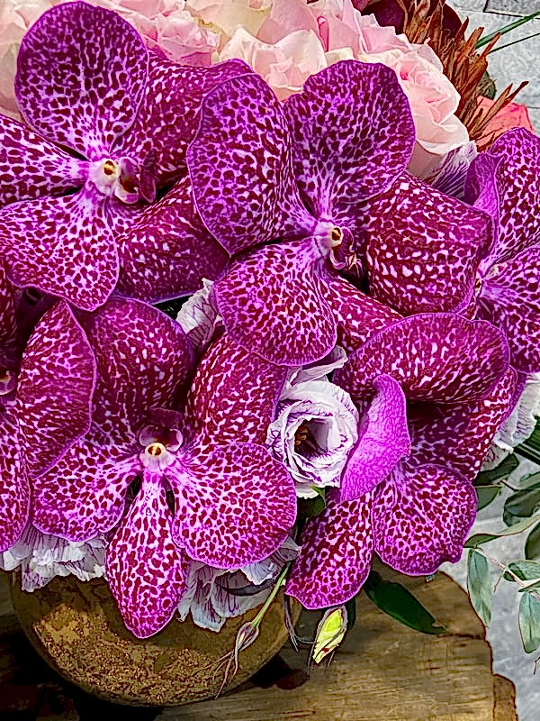 Gold Deluxe Vazo Pembe Vanda ve Güller