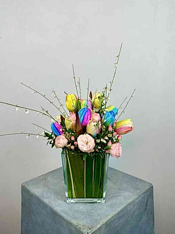 Cam Vazoda Rainbow Lale Mini