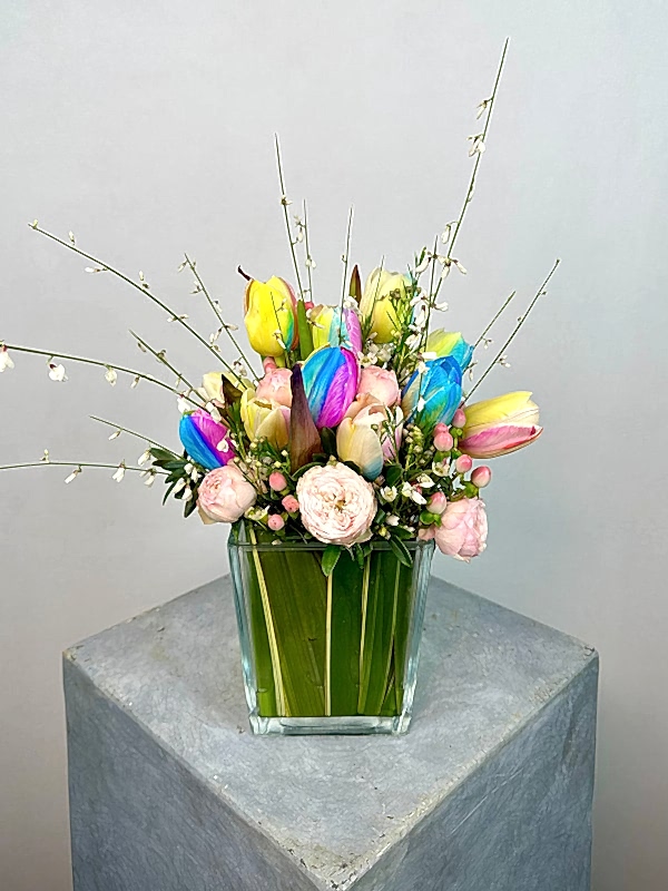 Cam Vazoda Rainbow Lale Mini