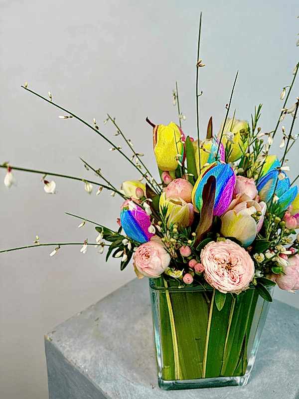 Cam Vazoda Rainbow Lale Mini