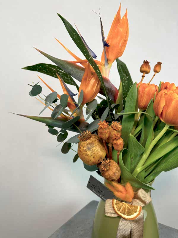 Turuncu Laleler ve Starliçe