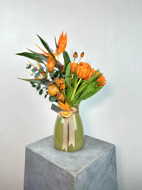 Turuncu Laleler ve Starliçe